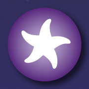 Ein Seestern als Signet der Agentur fr Werbung, Design, Homestyle symbolisiert den Standort am Meer in Schleswig-Hostein und steht fr lebendiges, kreatives, individuelles Gestalten.